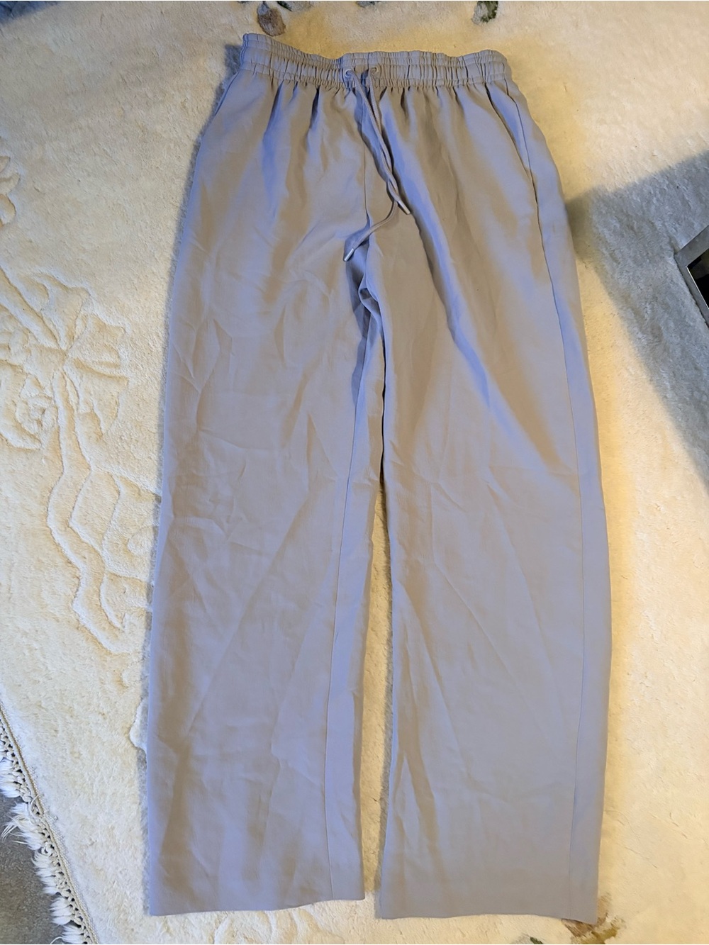 Aritzia Thesis pants